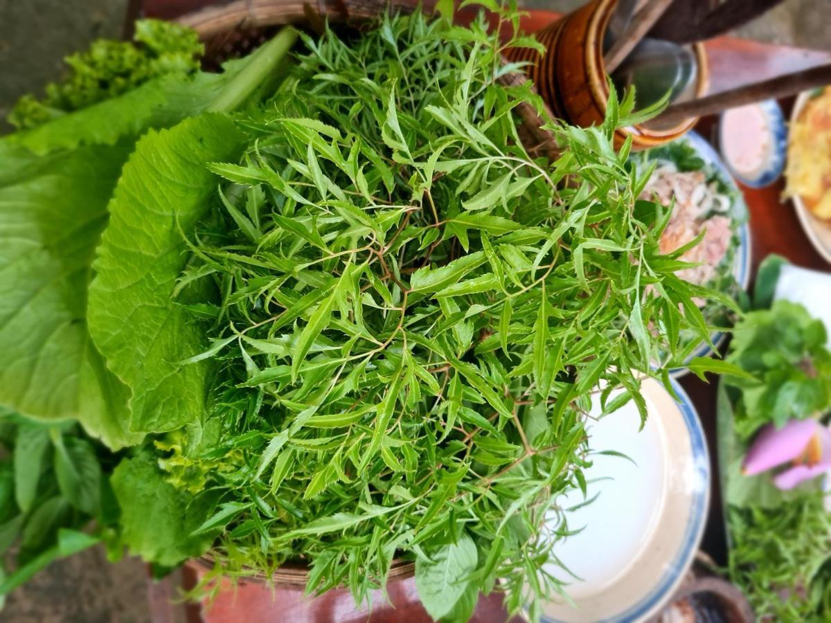 巴丹民宿 Ben Tre 外观 照片