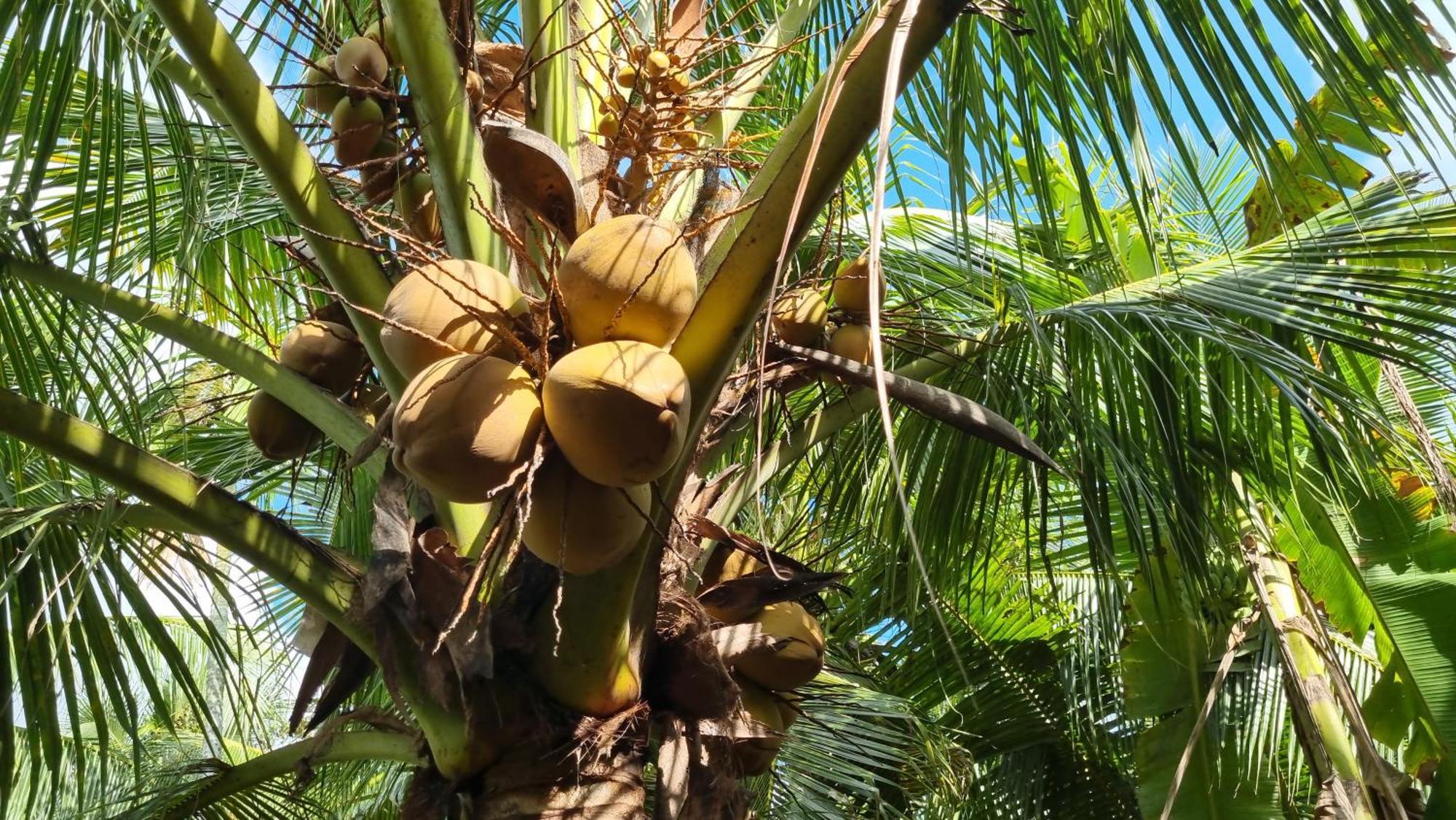巴丹民宿 Ben Tre 外观 照片