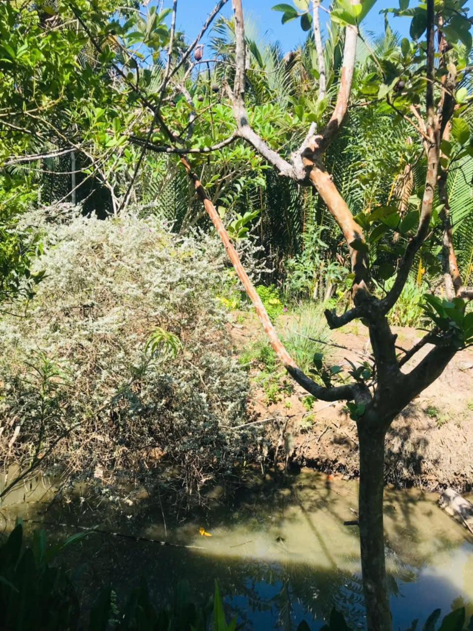 巴丹民宿 Ben Tre 外观 照片