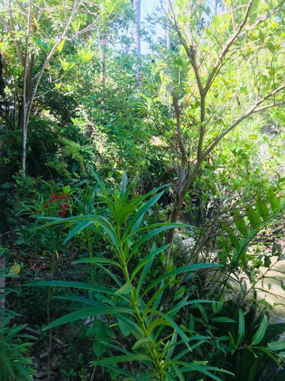 巴丹民宿 Ben Tre 外观 照片